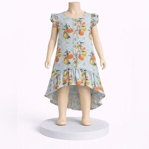 Posh Peanut High LowToddler Citrus Print Ruffle Hem Dress